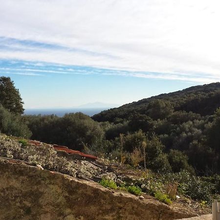 Maison Dans Le Cap Corse Villa Tomino Exterior foto