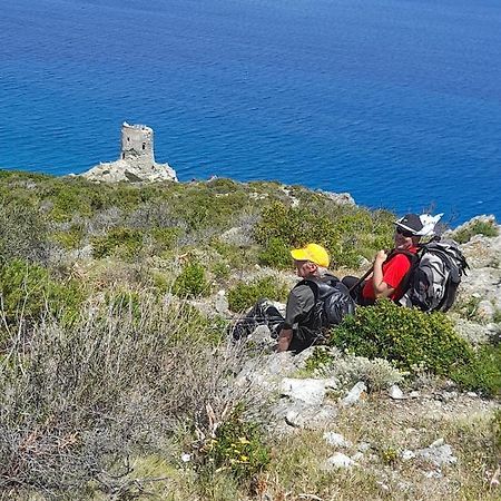 Maison Dans Le Cap Corse Villa Tomino Exterior foto
