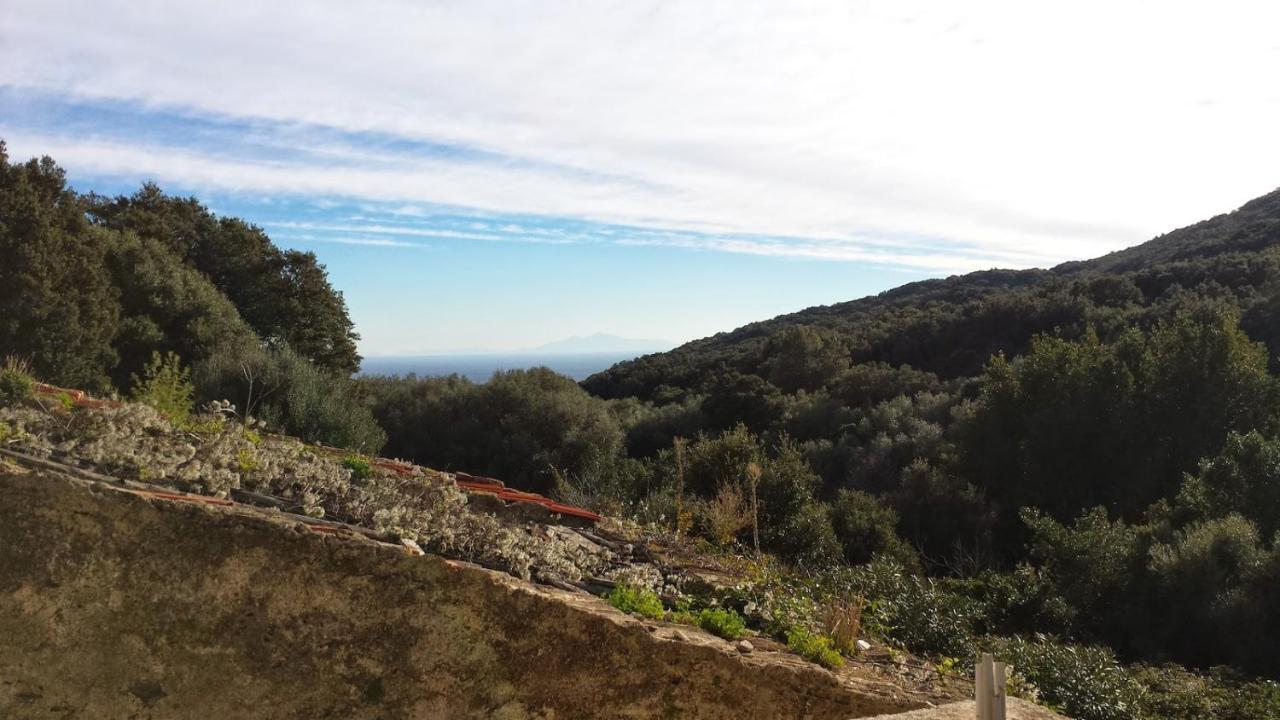 Maison Dans Le Cap Corse Villa Tomino Exterior foto