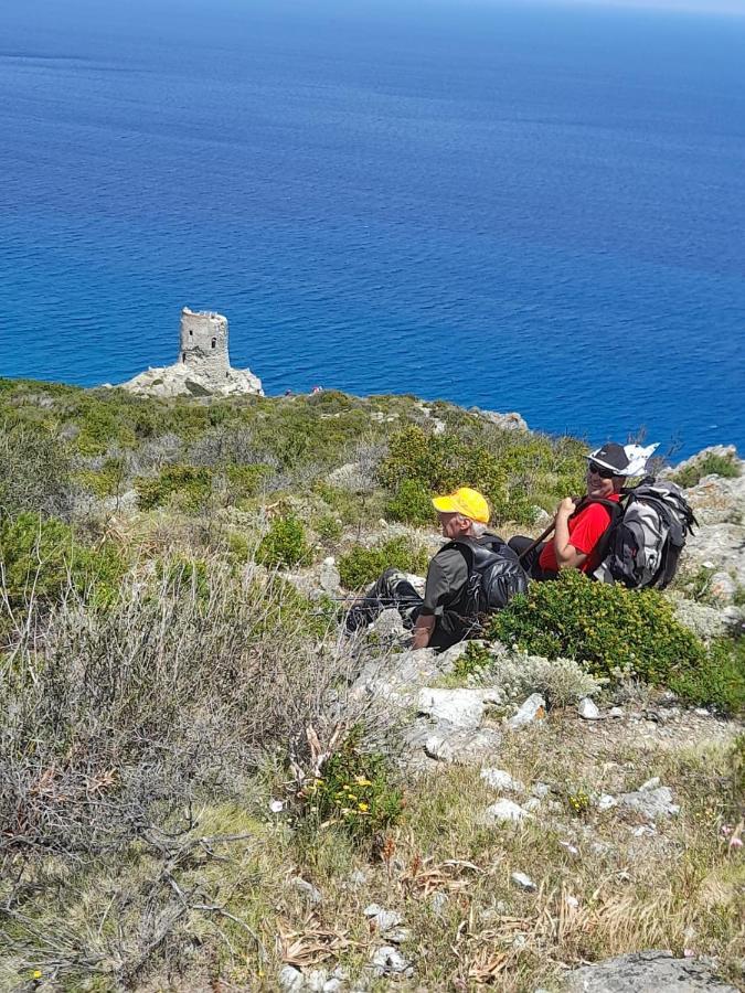 Maison Dans Le Cap Corse Villa Tomino Exterior foto